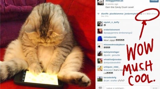 bagaimana-cara-mendapatkan-follower-di-instagram-yang-real